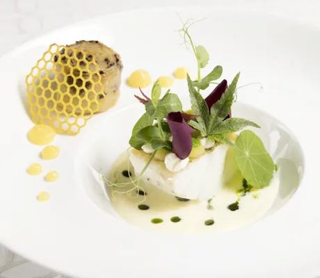 kunstvoll dekoriertes Fischgericht auf weißem Teller im Alpbacherhof