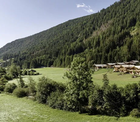 Blick auf die Chalets der Südtirol Chalets Valsegg im Sommer