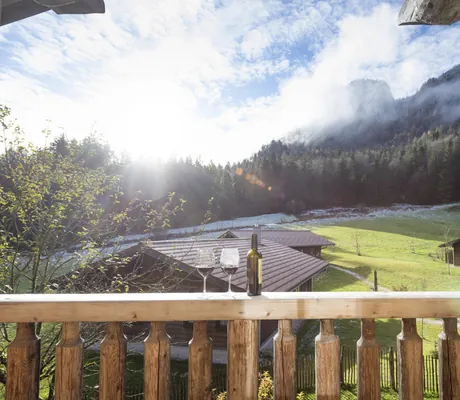 Blick vom Balkon des Naturstammhaus Richtung Wald
