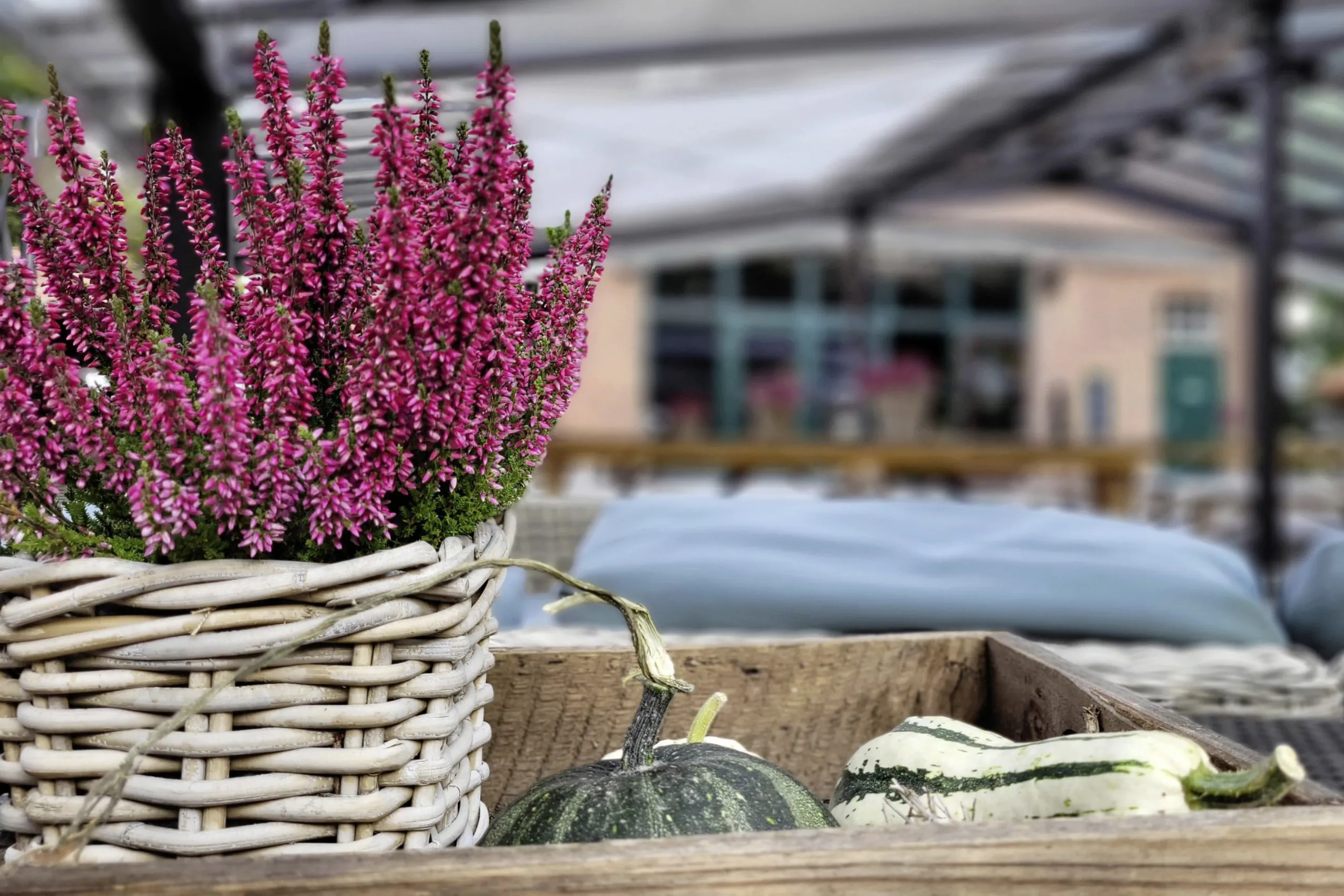 Herbstdekoration im Seminar- und Eventzentrum Gut Thansen