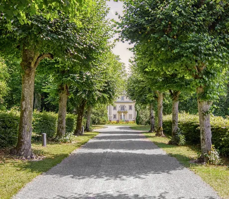 baumgesäumte Allee mit Blick auf den Eingang des Wald- & Schlosshotel Friedrichsruhe