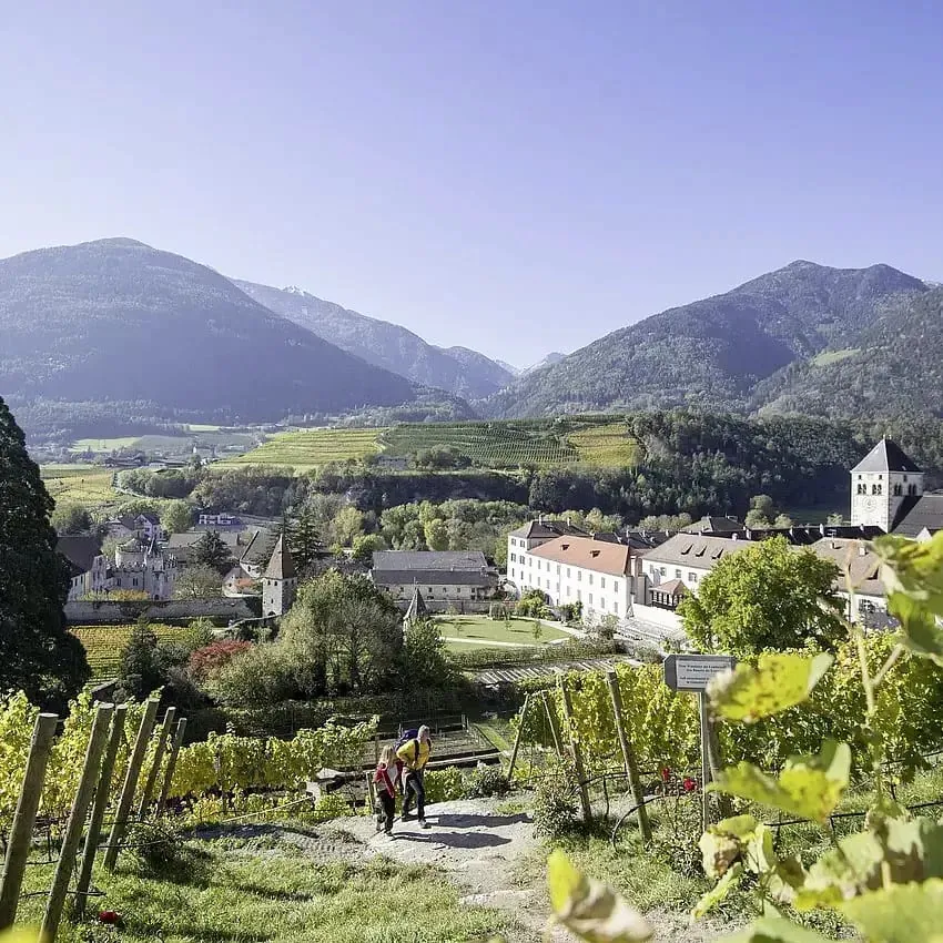 Paar wandert beim Törggelen die Weinberge hinauf mit dem Kloster Brixen im Hintergrund