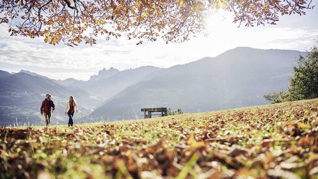 Päerchen wandert durch den herbstlich gefärbten Bätterwald mit Südtiolrer Bergen im Hintergrund im Seeleiten Lake Spa Hotel