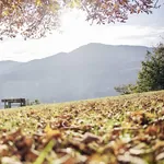 Päerchen wandert durch den herbstlich gefärbten Bätterwald mit Südtiolrer Bergen im Hintergrund im Seeleiten Lake Spa Hotel