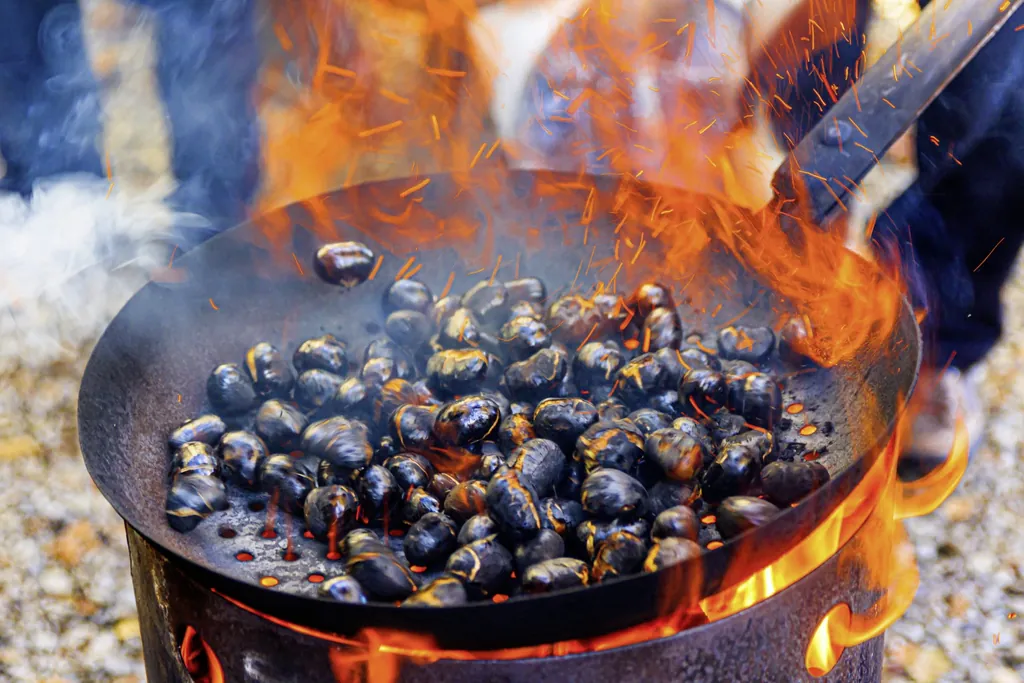 auf offenem Feuer über einer Grilltonne rösten Kastabien in einer gusseisernen Pfanne für das Törggelen
