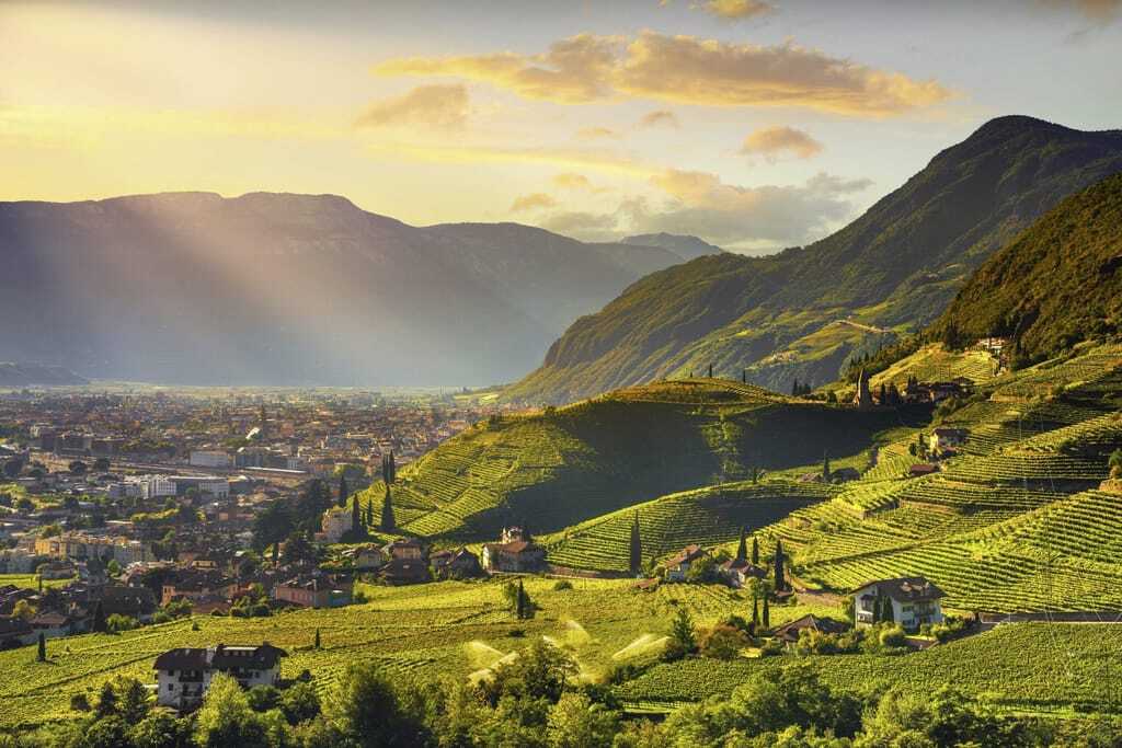Blick über die Weinberge oberhalb von Bozen im Sonnenuntergang