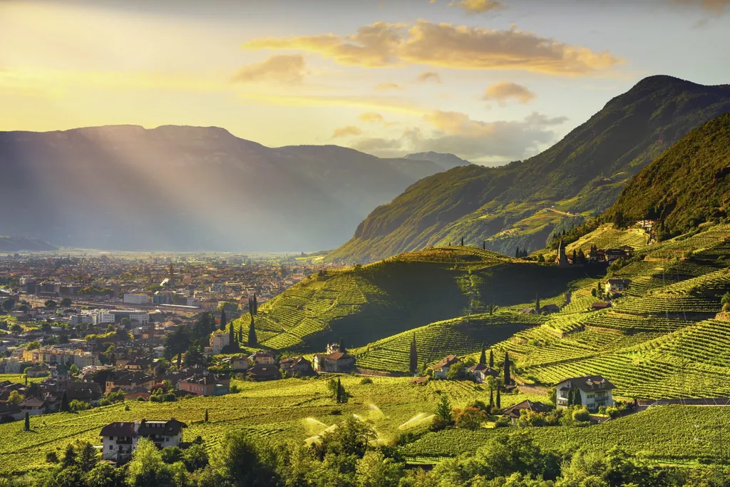 Blick über die Weinberge oberhalb von Bozen im Sonnenuntergang