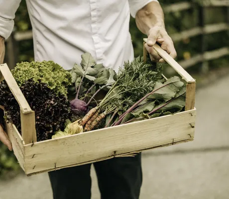frisches selbst geerntetes Gemüse in der Holzkiste wird von einem Mann getragen
