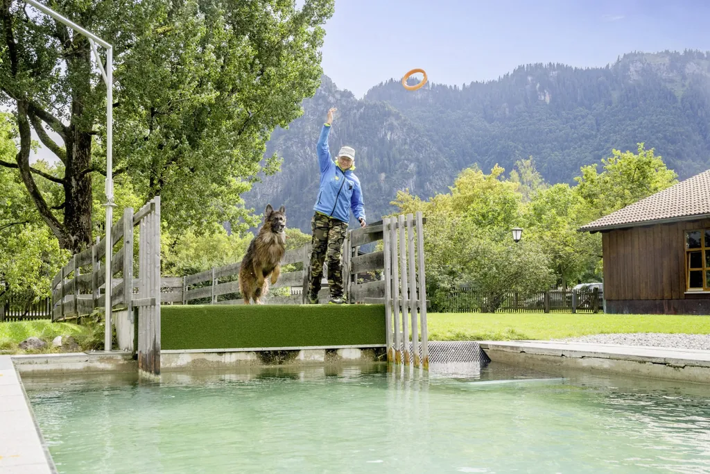 Trainerin steht zusammen mit Hund auf der Rampe vor dem Hundepool und wirft einen Ring für Dog Diving