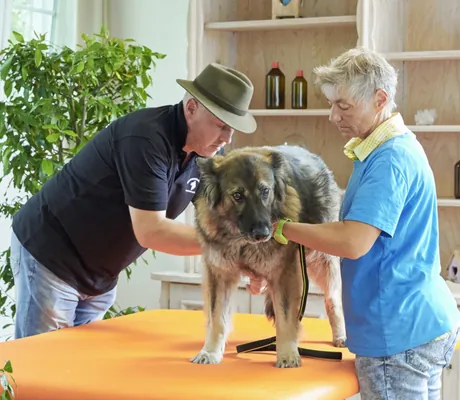 Hundephysiotherapeut Rainer Bollrath und Hundetrainerin Monika Mittmann untersuchen Hund