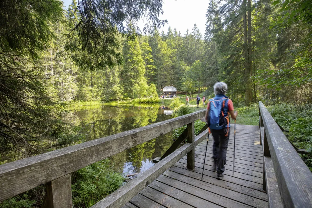 Wanderin bei einer Tour durch das Höllbachgspreng im Bayerischen Wald