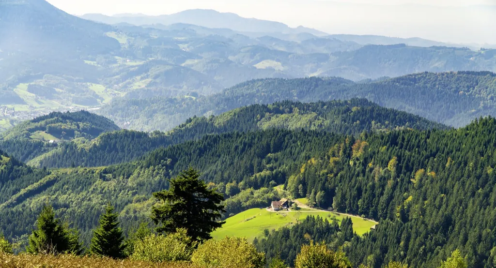 Luftaufnahme der hügeligen, bewaldeten Landschaft im Schwarzwald