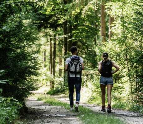 Pärchen wandert auf Forstweg im Bayerischen Wald