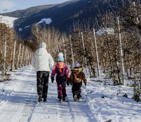 Frau spaziert mit zwei Kindern durch die winterlichen Apfelplantagen rund um Das Mühlwald