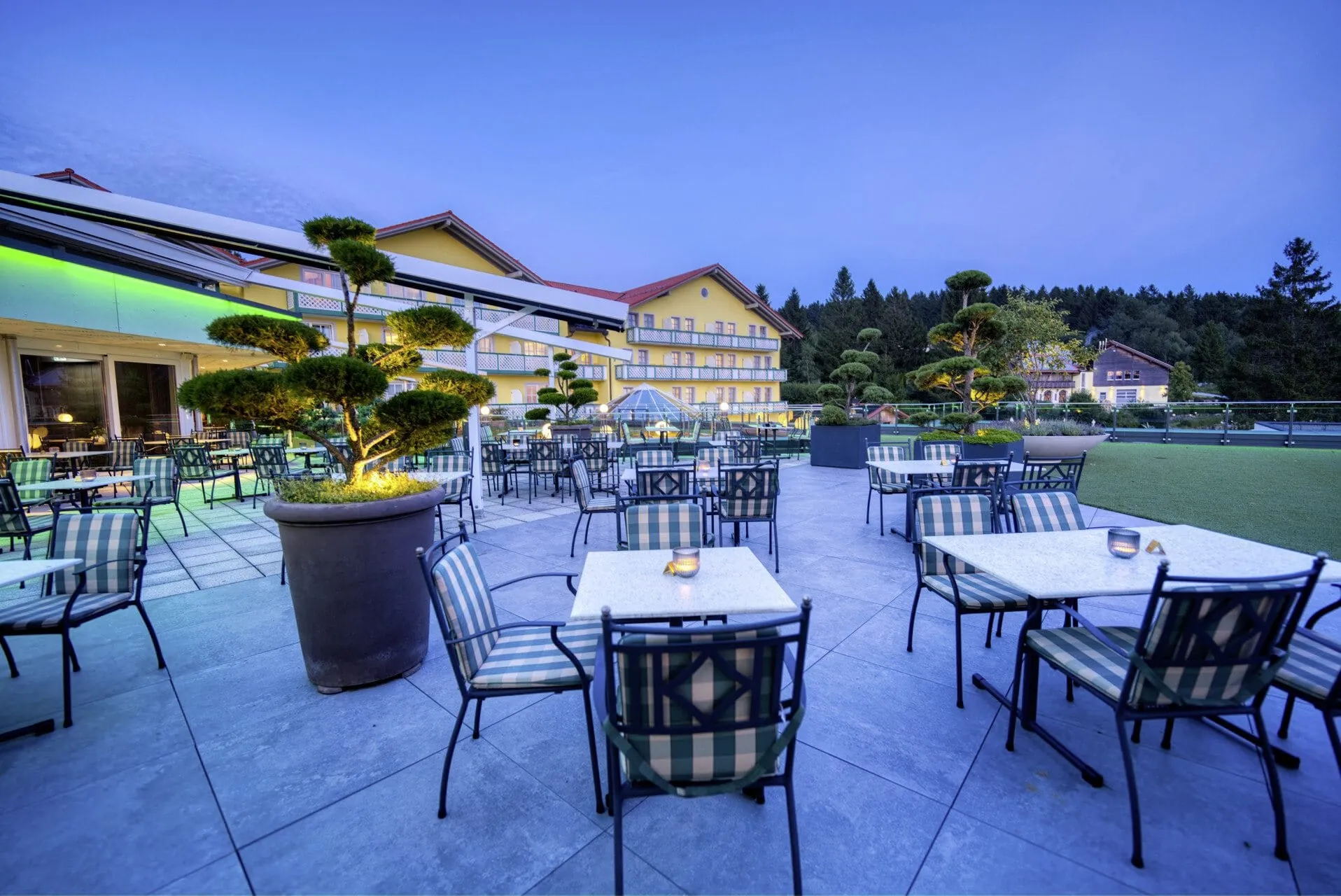 Restaurantterrasse mit Metallstühlen mit grün karierten Polstern und Bonsaibäumen in großen Töpfen