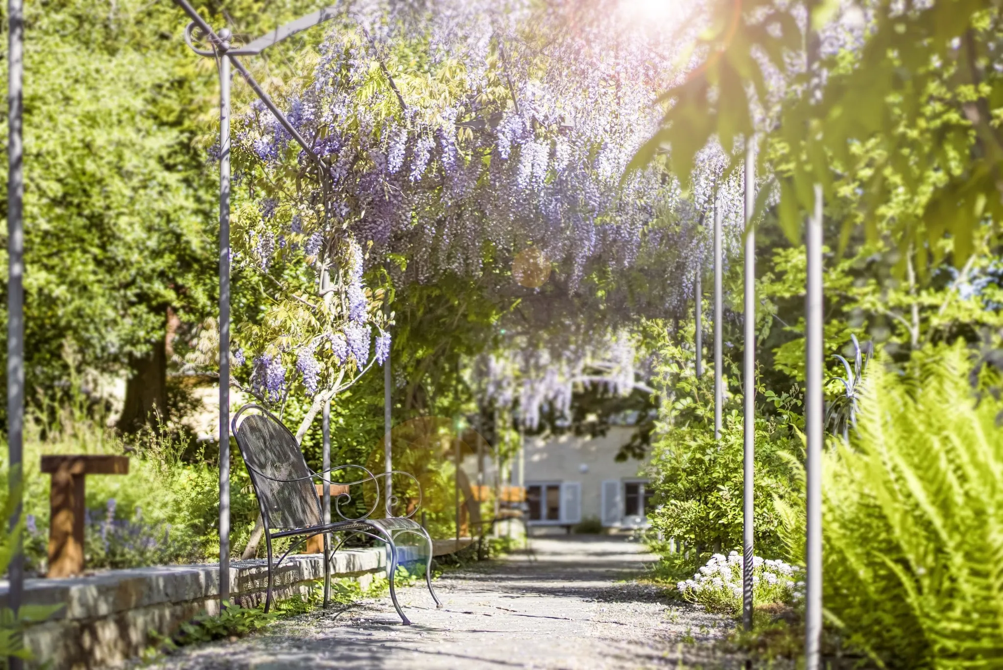 mit Blauregen bewachsener Pavillon im Garten des Bad Clevers Gesundheitsresort