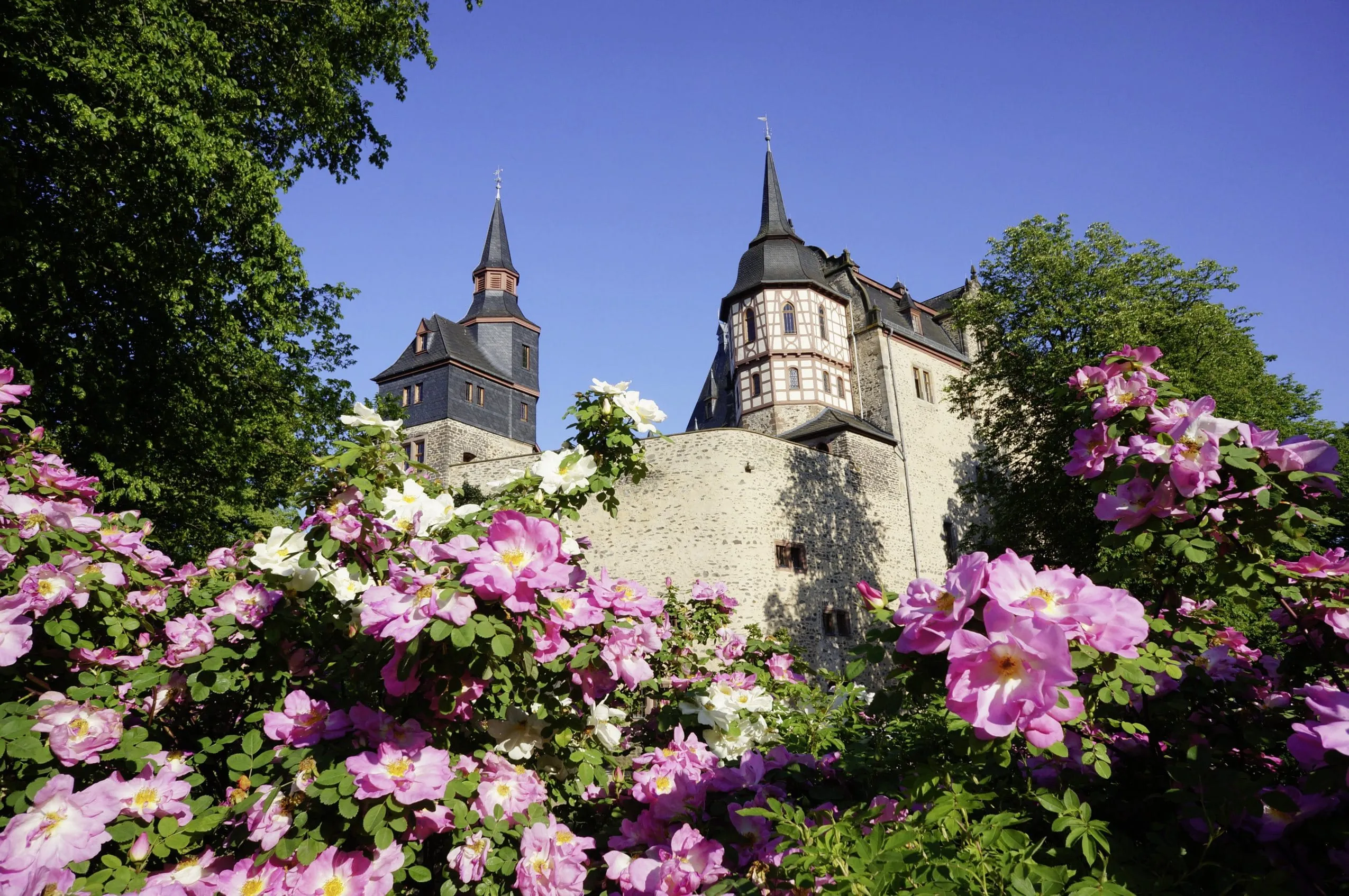 Blick auf das historische h&ocirc;tel schloss romrod mit Blumen im Vordergrund