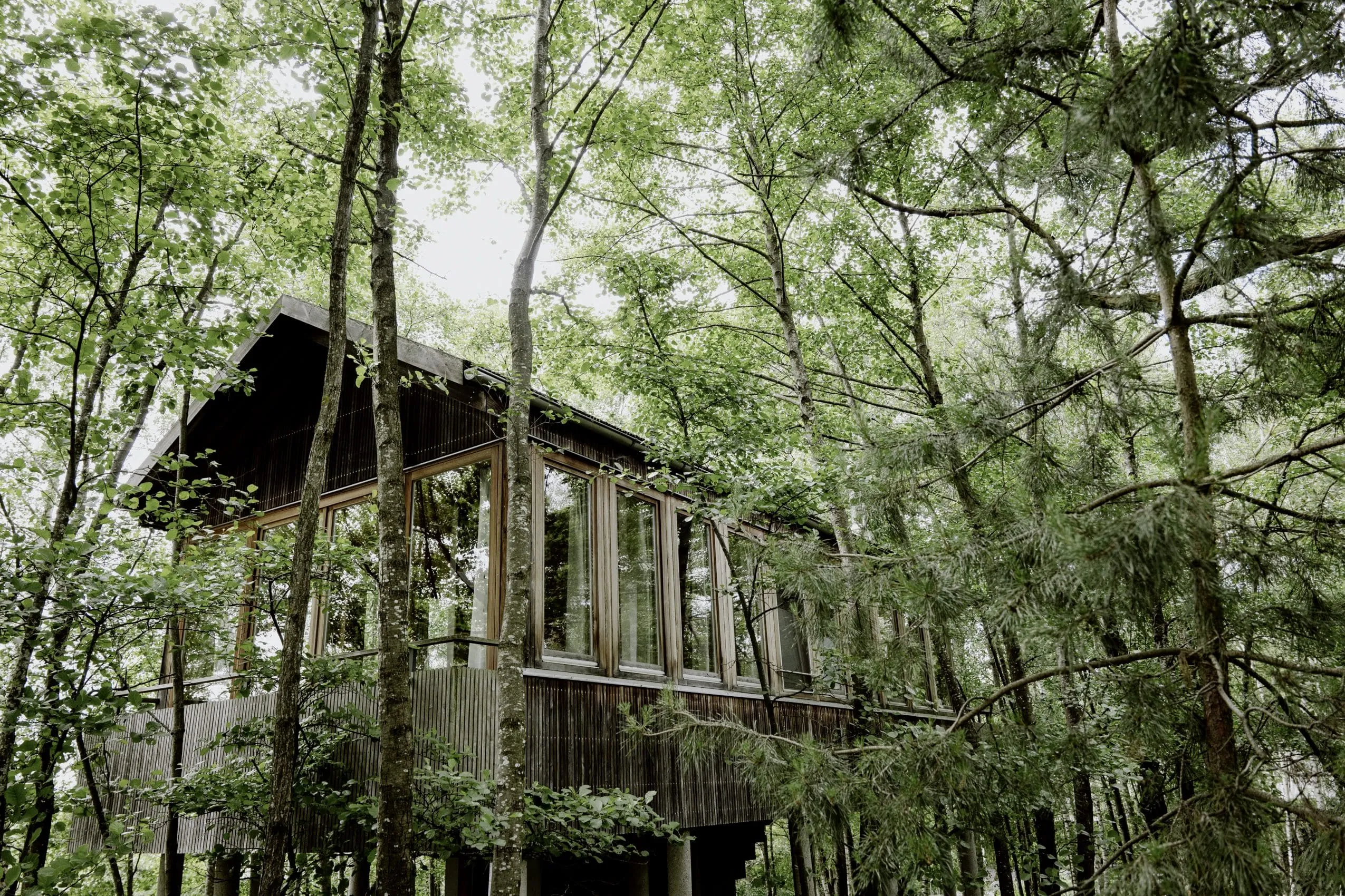 auf Stelzen stehendes Baumhaus im Wald im Hofgut Hafnerleiten