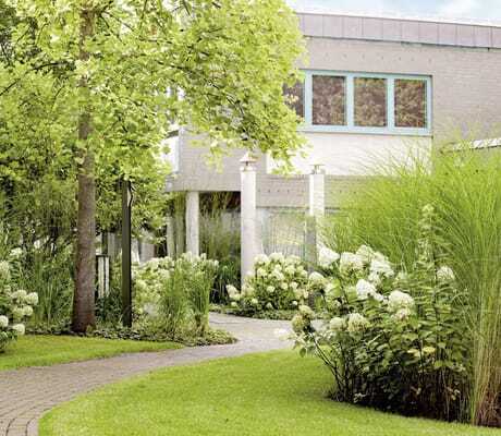 Hortensien am Wegrand der Grünanlage des MEDIAN Hotel Lehrte