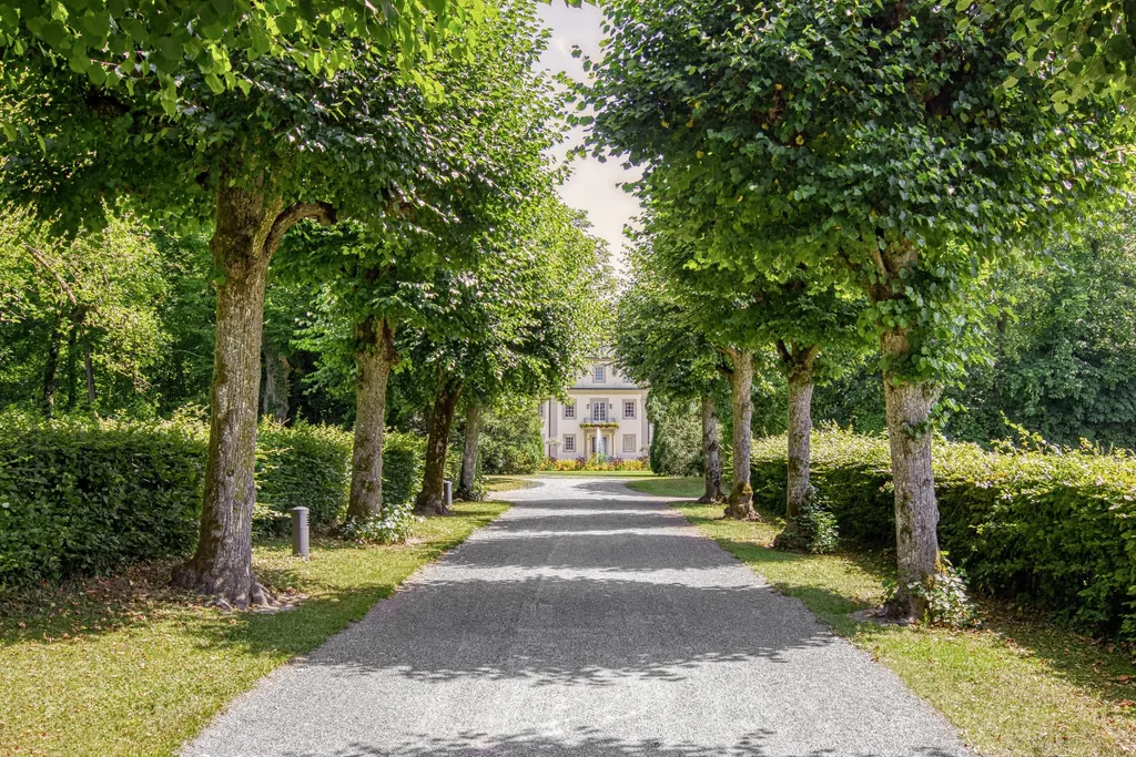 Blick durch eine Allee im Sommer, die Richtung Wald & Schlosshotel Friedrichsruhe führt