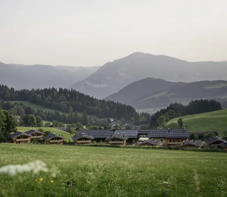 entfernter Blick auf die Hygna Chalets mit Wäldern und Bergpanorama im Hintergrund