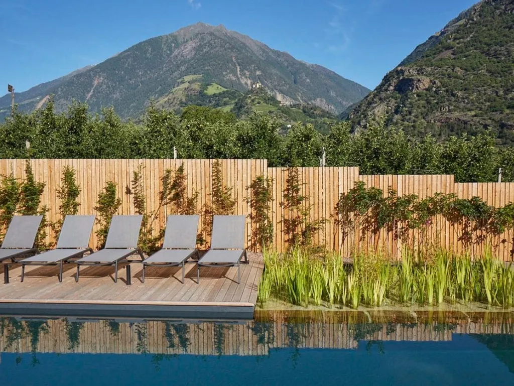 Mit Holz eingefasster Biopool mit Schilfeck und Liegen in den Cirna Gentle Luxury Lodges in Südtirol