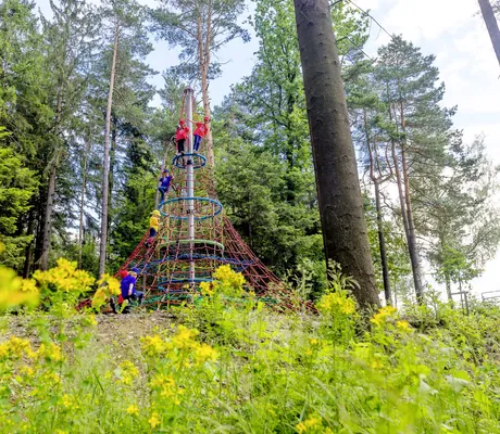 mehrere Kinder auf Klettergerüst des Waldspielplatzes des Ulrichshof