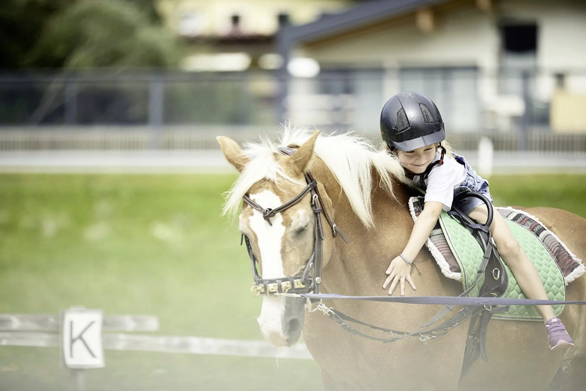 kleines M&auml;dchen schmiegt sich l&auml;chelnd an Pferd des Familienresort Buchau