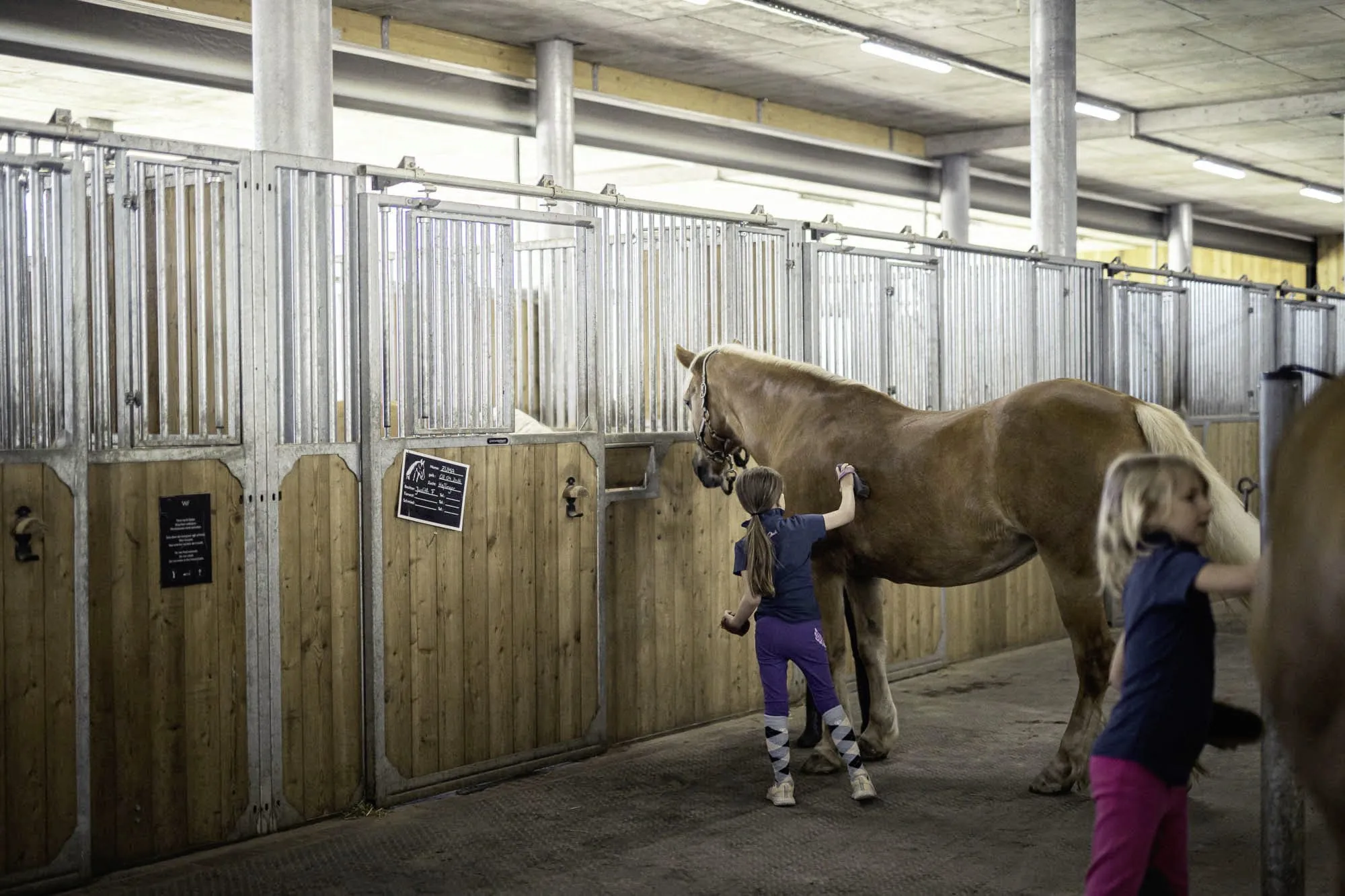 Zwei M&auml;dchen b&uuml;rsten Pferde neben den Pferdeboxen des Hotel Winkler