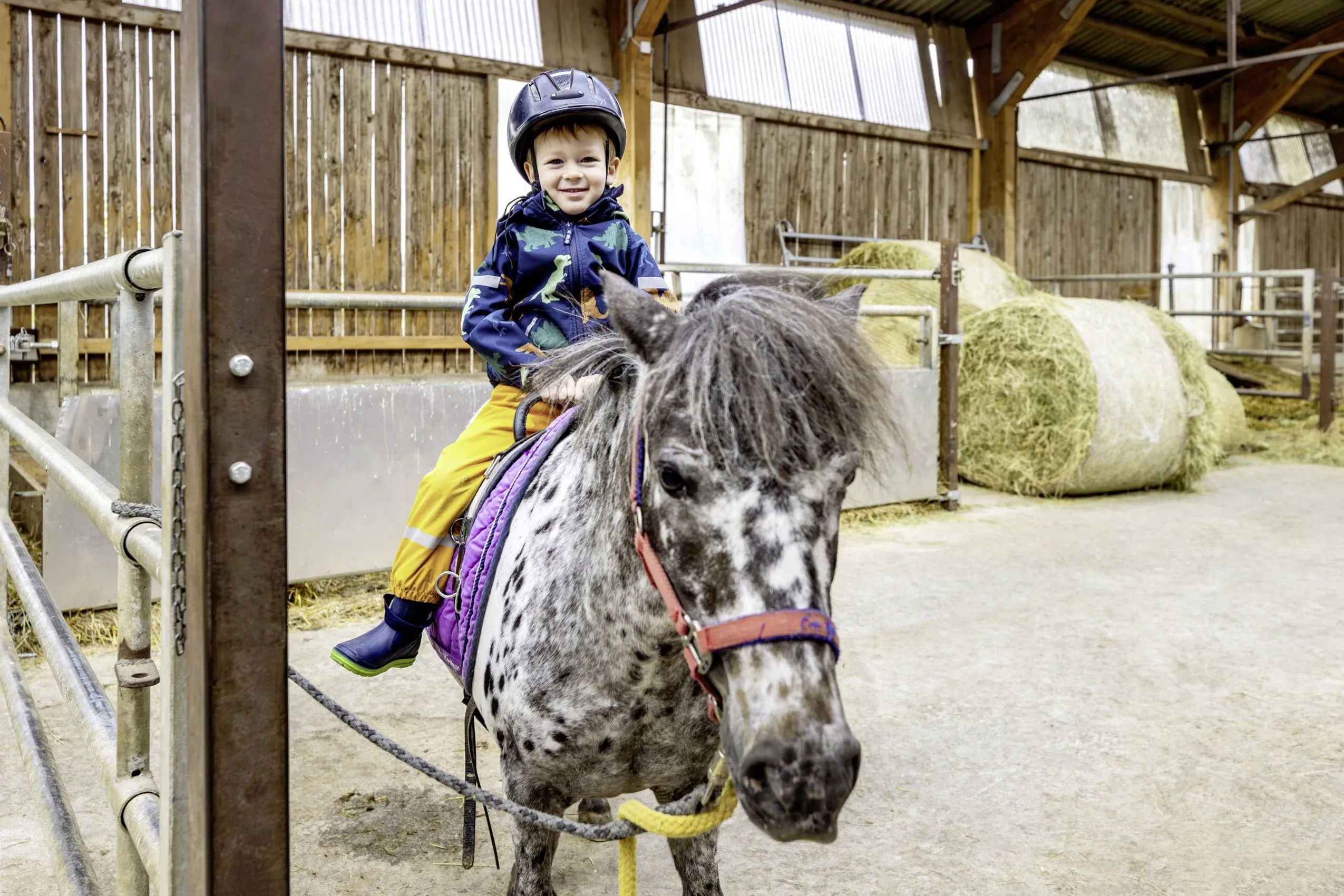 kleiner Junge sitzt l&auml;chelnd auf einem Pferd des Familotel Ottonenhof