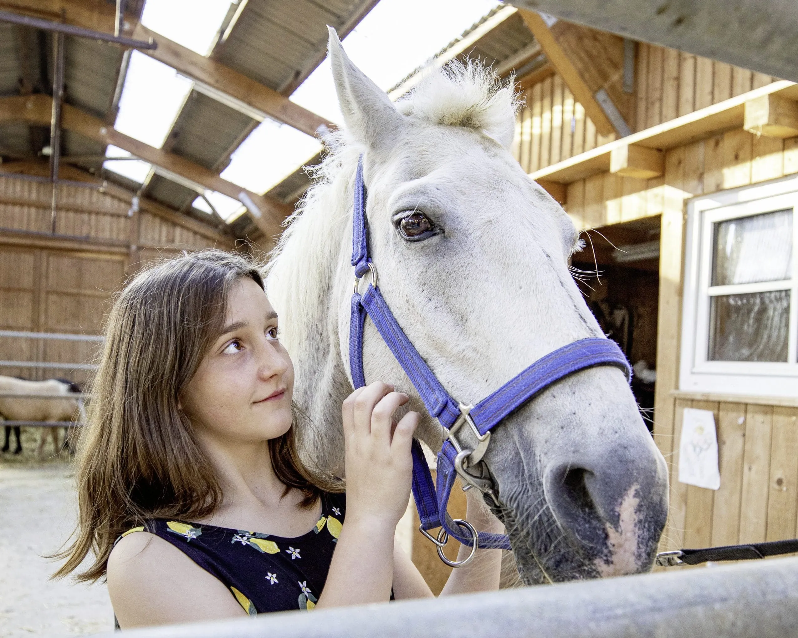 M&auml;dchen schaut wei&szlig;es Pferd des Familotel Ottonenhof an