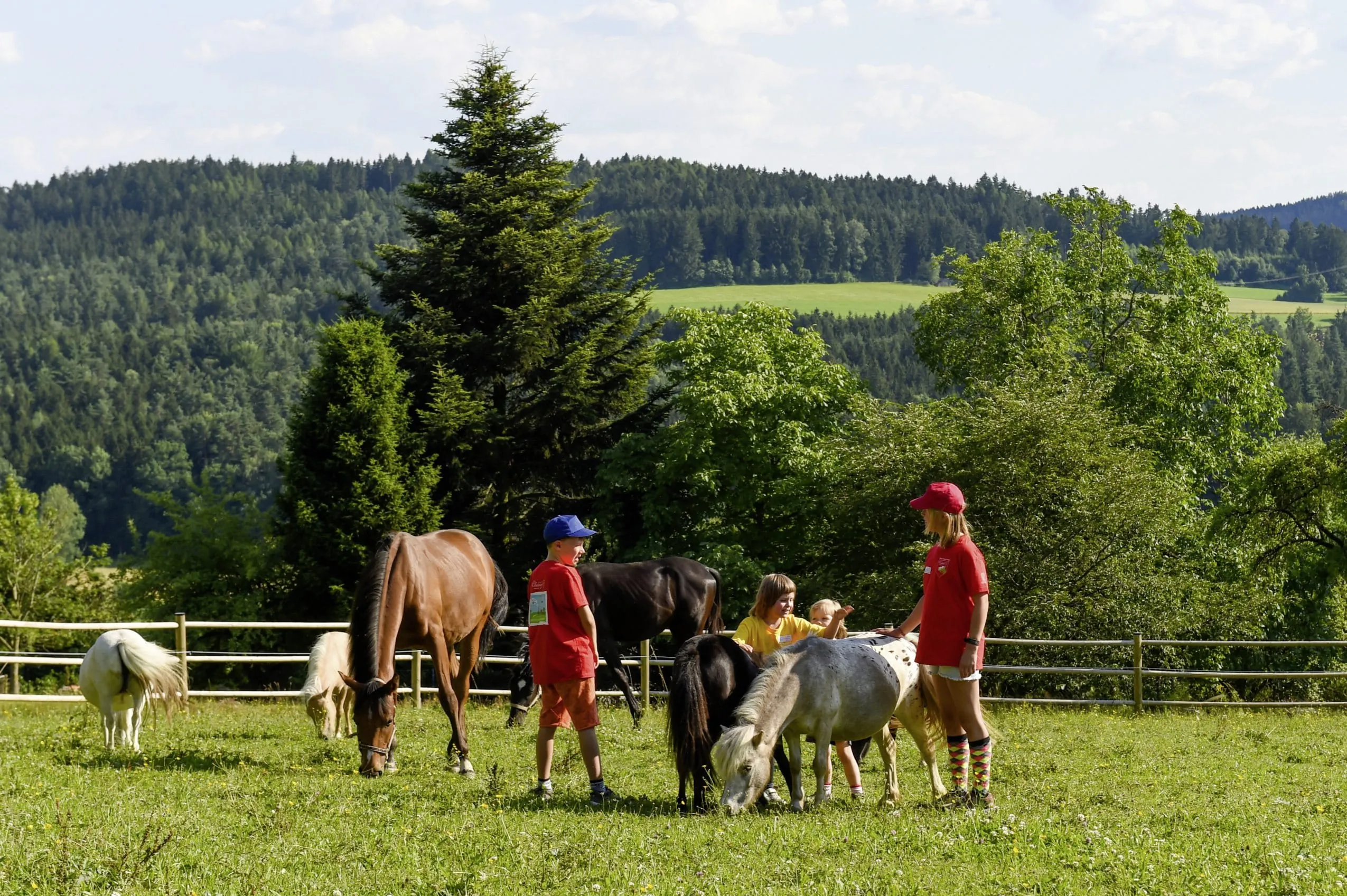 vier Kinder stehen auf einer Weide des Ulrichshof mit mehreren Pferden und Ponys