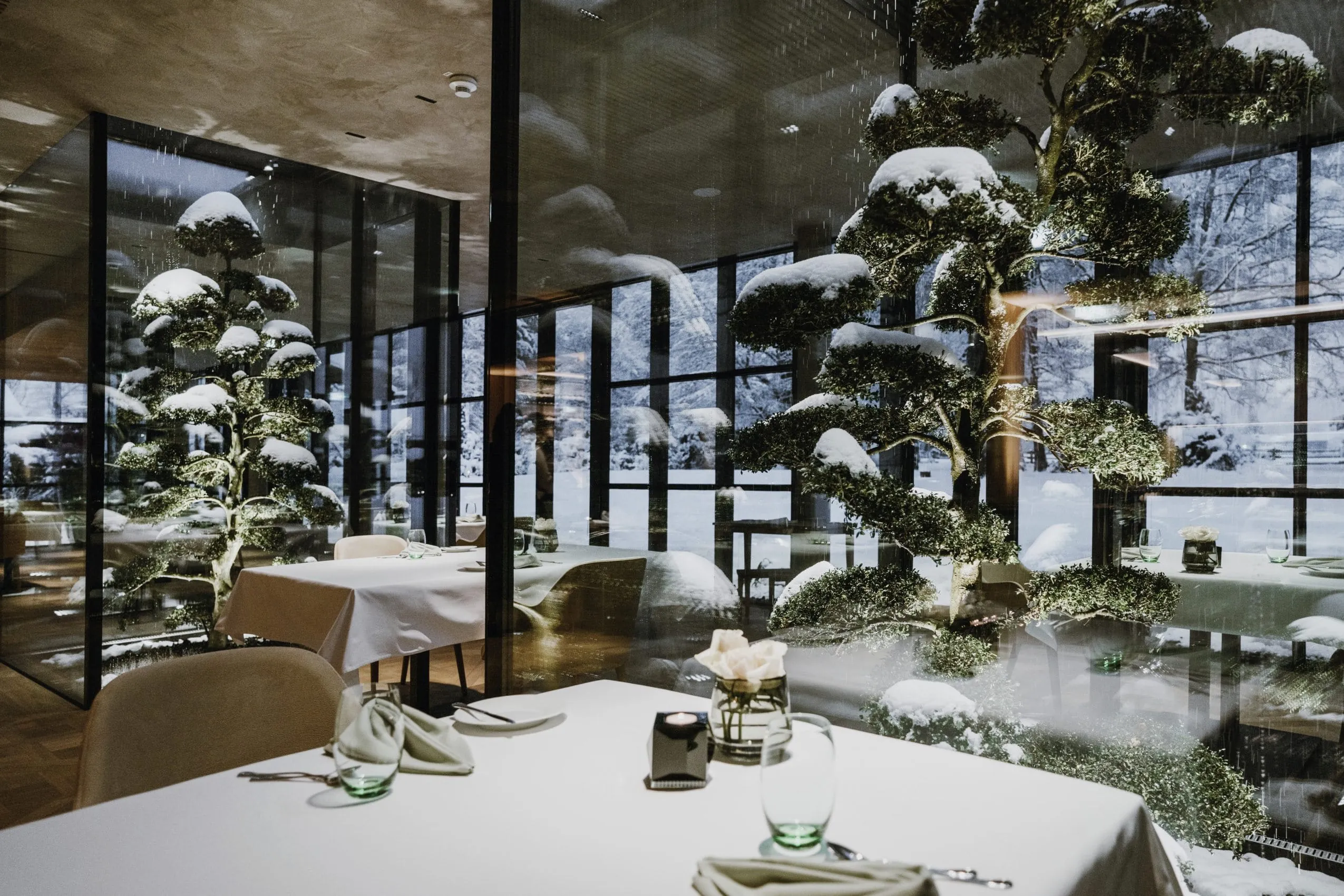 Gourmetrestaurant Dichter im Parkhotel Egerner H&ouml;fe mit B&auml;umen in gro&szlig;en Glask&auml;sten