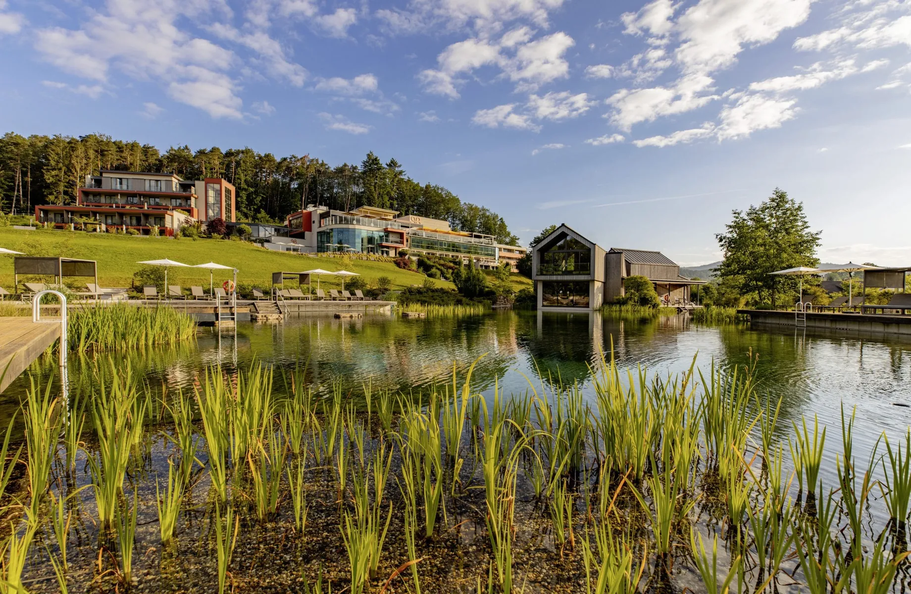 Naturbadeteich im Pfalzblick Waldspa Resort mit Saunahaus und Blick auf das Haupthaus