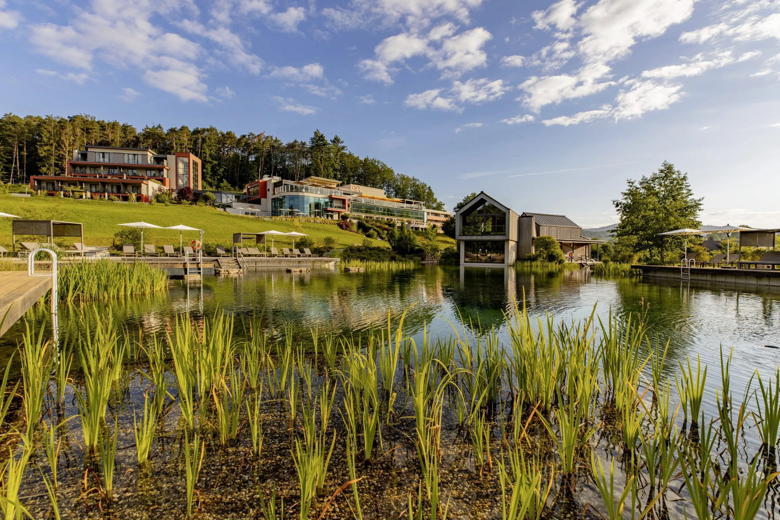 Naturbadeteich im Pfalzblick Waldspa Resort mit Saunahaus und Blick auf das Haupthaus