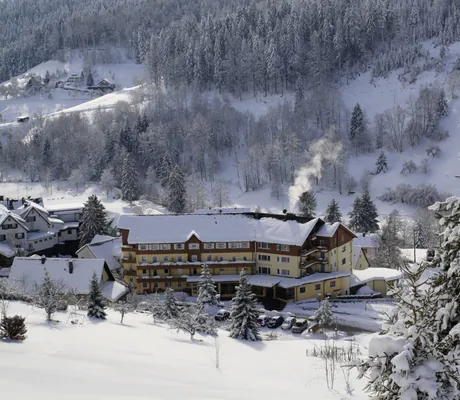 Gesamtansicht des Wellnesshotel Tanne im tiefen Schnee von oben