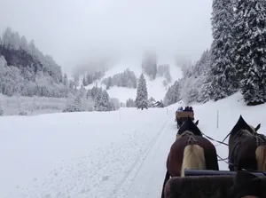 Pferdekutschenfahrt im tiefen Schnee im Allgäu