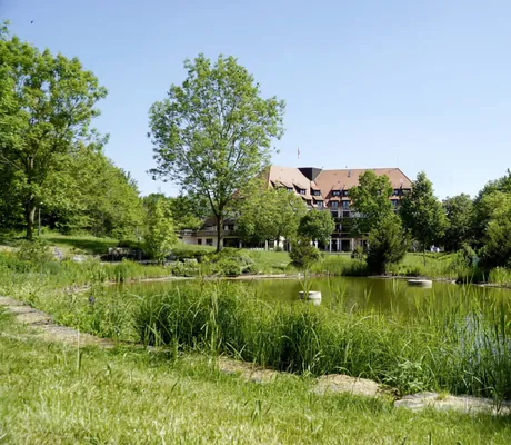 Parkanlage des Flair Park-Hotel Ilshofen miz Naturteich und hohen Gräsern