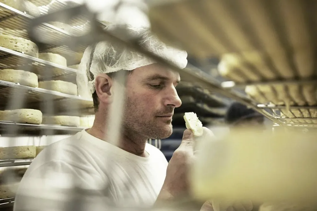 Ein Mann mit Hygienekleidung und Haarnetz steht im Reiferaum der Käserei, wo unzählige Käslaibe liegen. Er hat ein Stück Käse weggeschnitten und probiert dieses gerade.