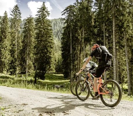 zwei Biker auf einem Waldweg im Tiroler Oberland