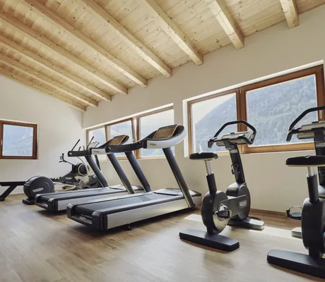 Fitnessgeräte im Hotel Traube unter dem Dach mit Blick auf Wald