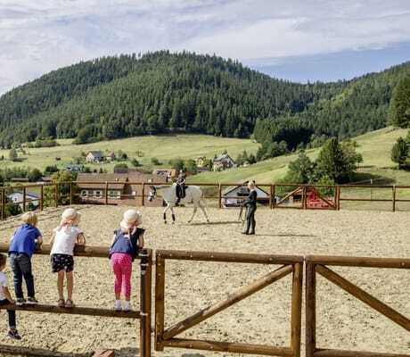Fünf Kinder stehen auf dem Zaun am Reitplatz des Hotel Bareiss und schauen Kind auf weißem Pferd beim Unterricht zu