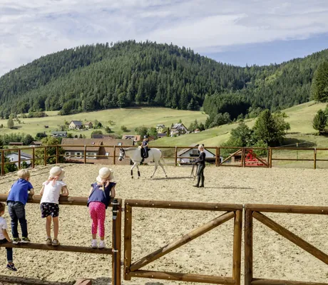 Fünf Kinder stehen auf dem Zaun am Reitplatz des Hotel Bareiss und schauen Kind auf weißem Pferd beim Unterricht zu