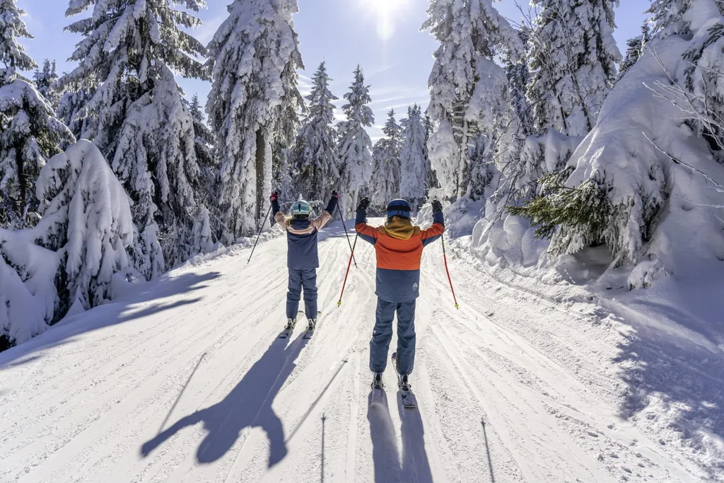 zwei Kinder auf Skiern halten ihre Skistöcke in die Luft in sonniger Schneelandschaft mit schneebedeckten Bäumen auf beiden Seiten