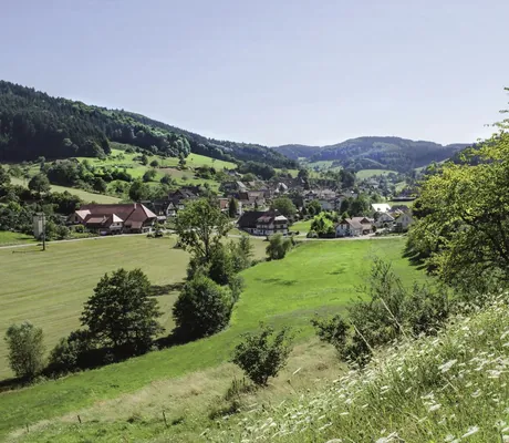 Blick in die grüne Landschaft und auf das Dorf Biberach-Prinzbach in dem sich das Wellnesshotel Badischer Hof befindet