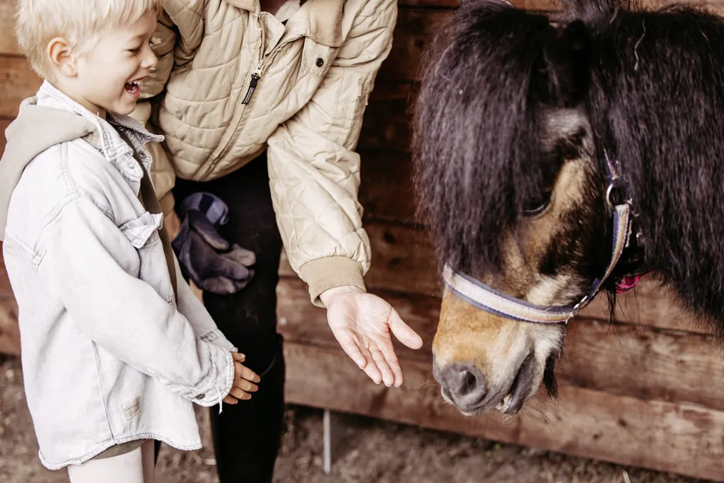 blonder Junge lacht braunes Pony an das gegen&uuml;ber von ihm steht und Reitlehrerin streckt ihre Hand hin im Familotel Landhaus Averbeck