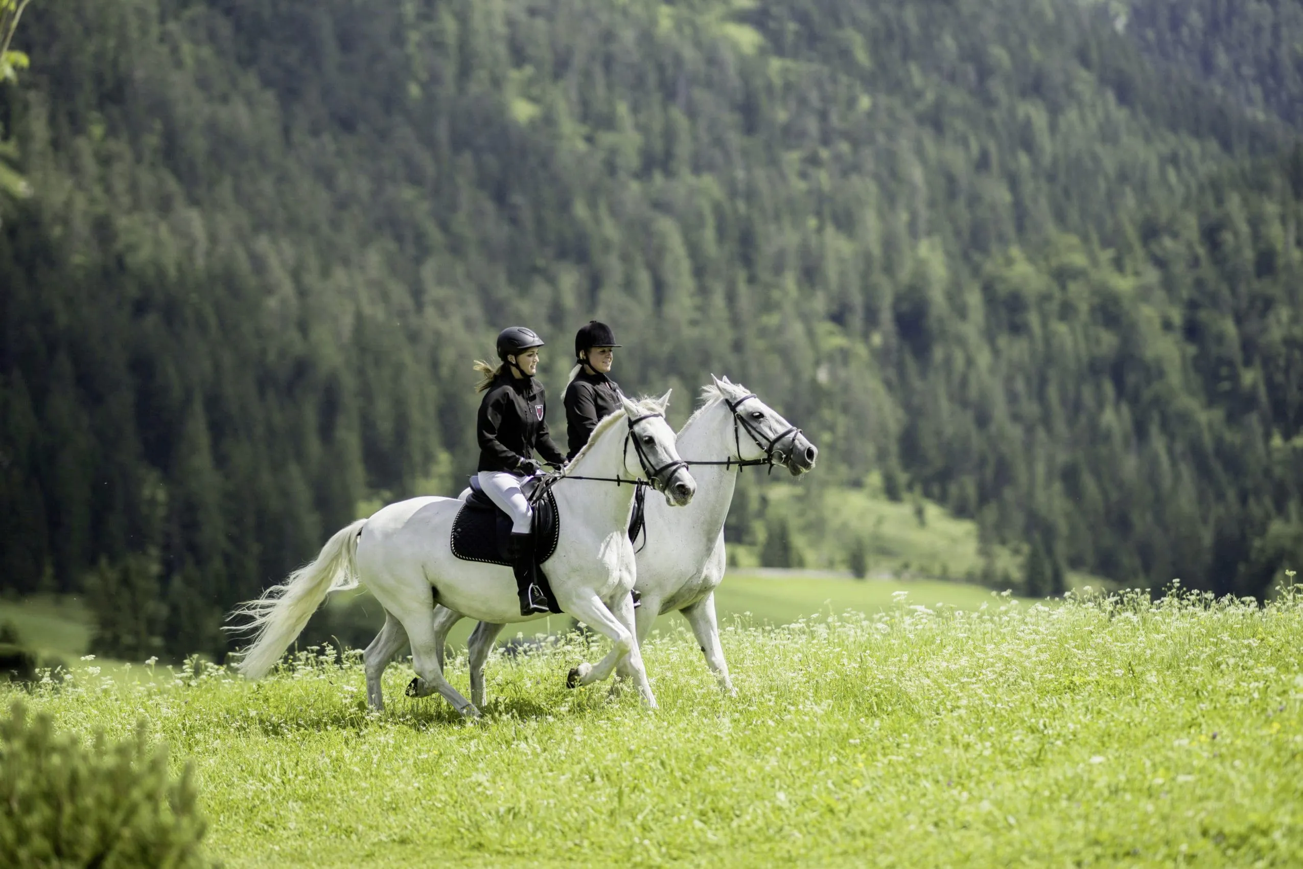 zwei Reiterinnen auf Lipizzanern des Posthotel Achenkirch in gr&uuml;ner Natur