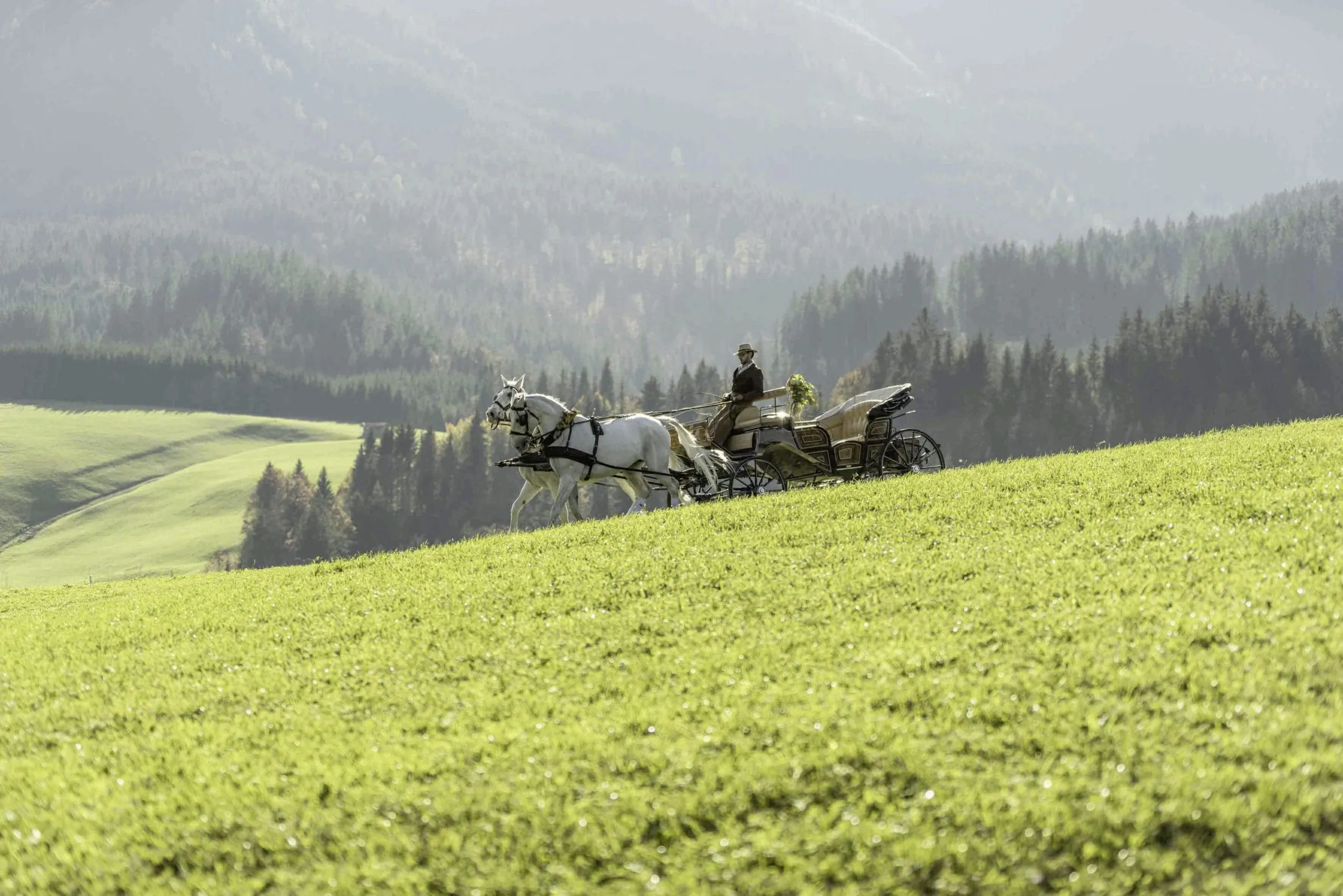 Kutschfahrt des Posthotel Achenkirch in gr&uuml;ner Umgebung mit W&auml;ldern im Hintergrund