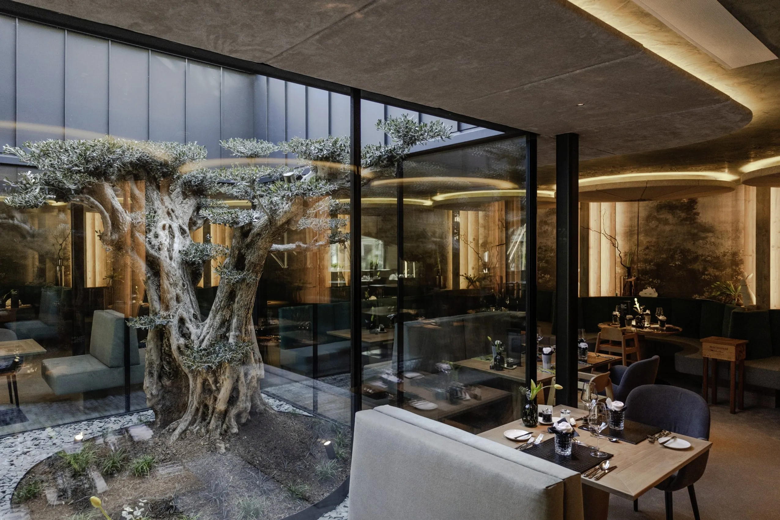 Blick vom modern eingerichtete Restaurant des Alpenschlössel mit grauen Polsterstühlen nach draußen auf einen in Szene gesetzten Baum im Innenhof.