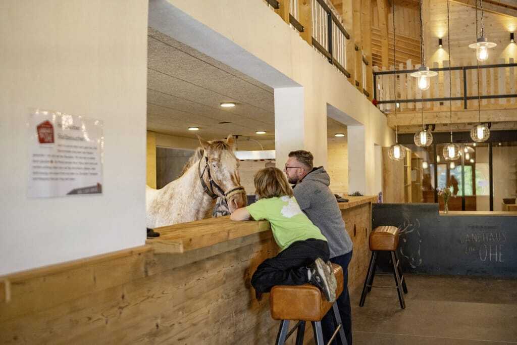 Junge und Mann im rustikalen Reitstall des Hotel & Resort Landhaus zur Ohe, Pferd steht ihnen gegenüber